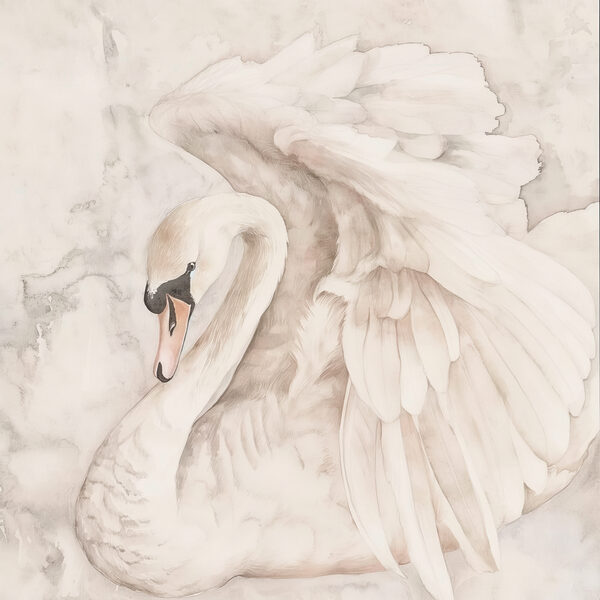 Un cisne blanco con alas s38296p 600x600 - Un cisne blanco con alas - tegory