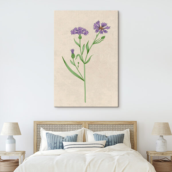 Un dibujo de una flor s38233pib303 600x600 - Un dibujo de una flor - tegory