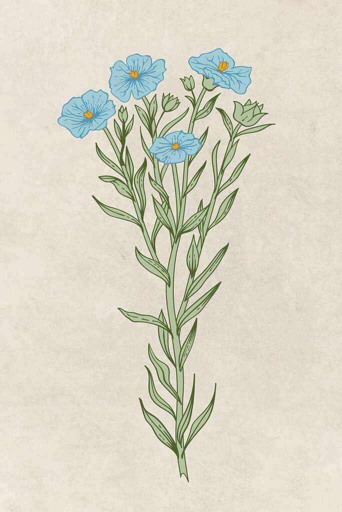 Un dibujo de una planta con flores azules s38235p 683x1024 - Un dibujo de una planta con flores azules - tegory