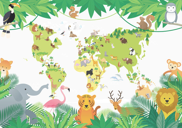 Un mapa de animales y plantas Un mapa de animales y plantas