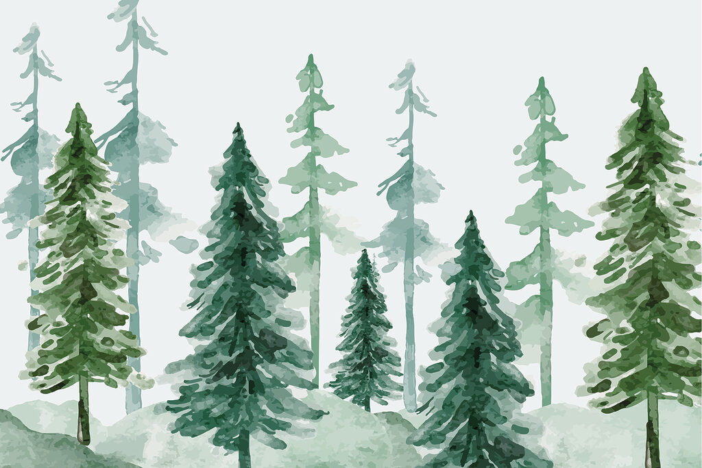 A group of trees in a snowy forest