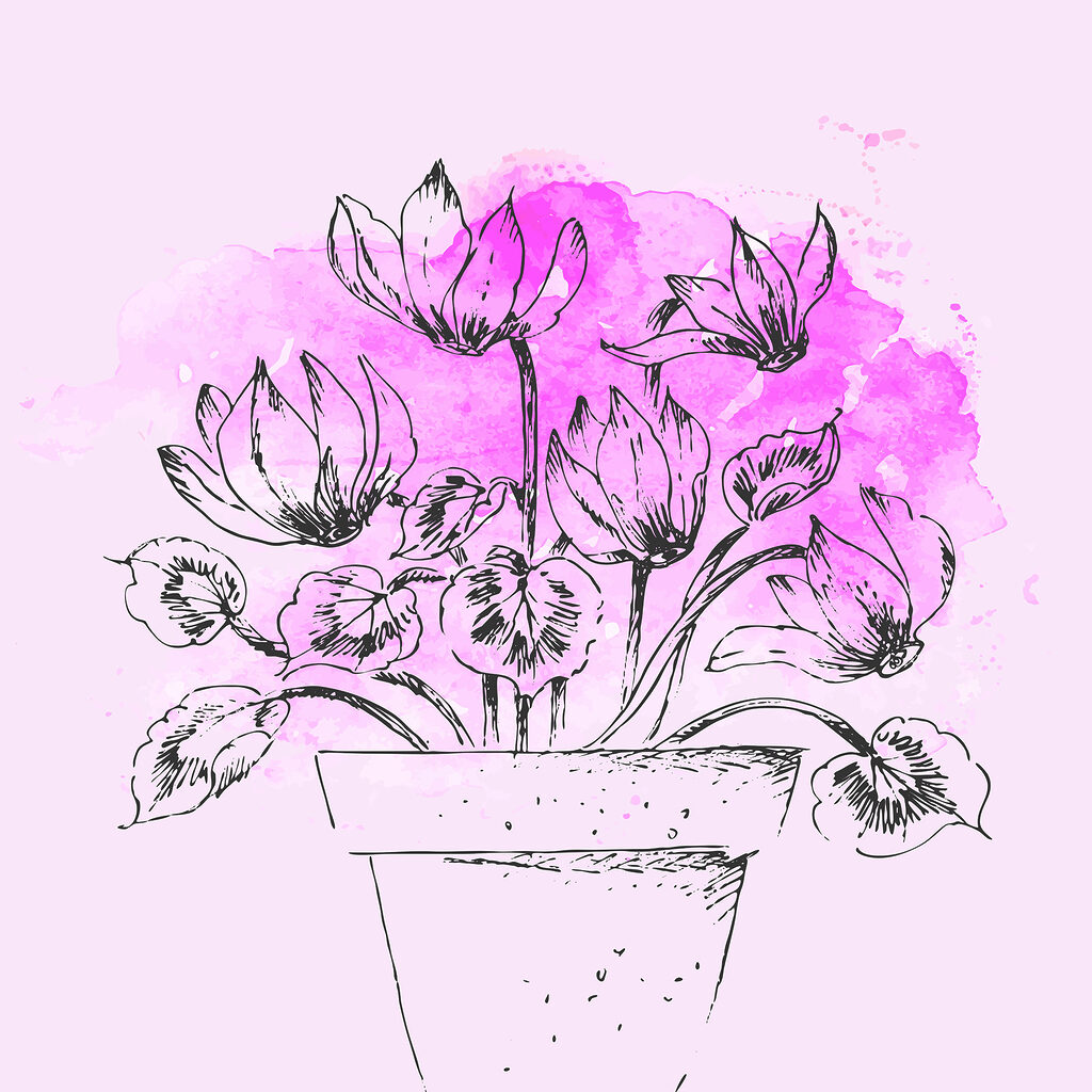 A drawing of a plant in a pot