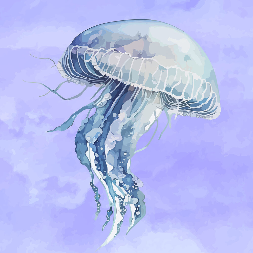 A jellyfish in the sky A jellyfish in the sky