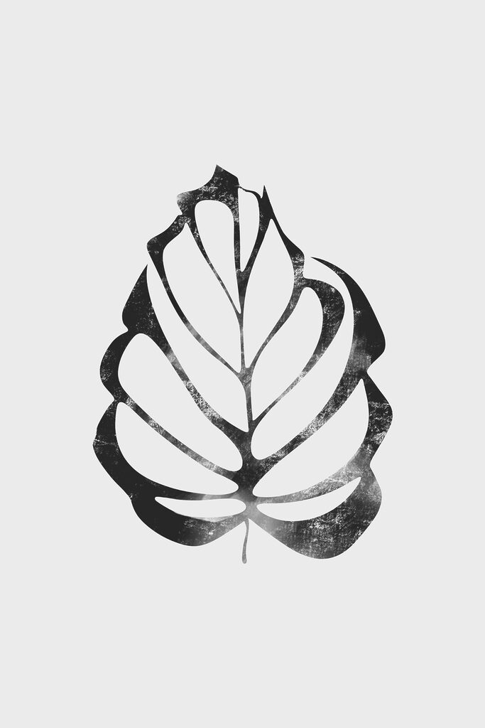 A black and white leaf A black and white leaf