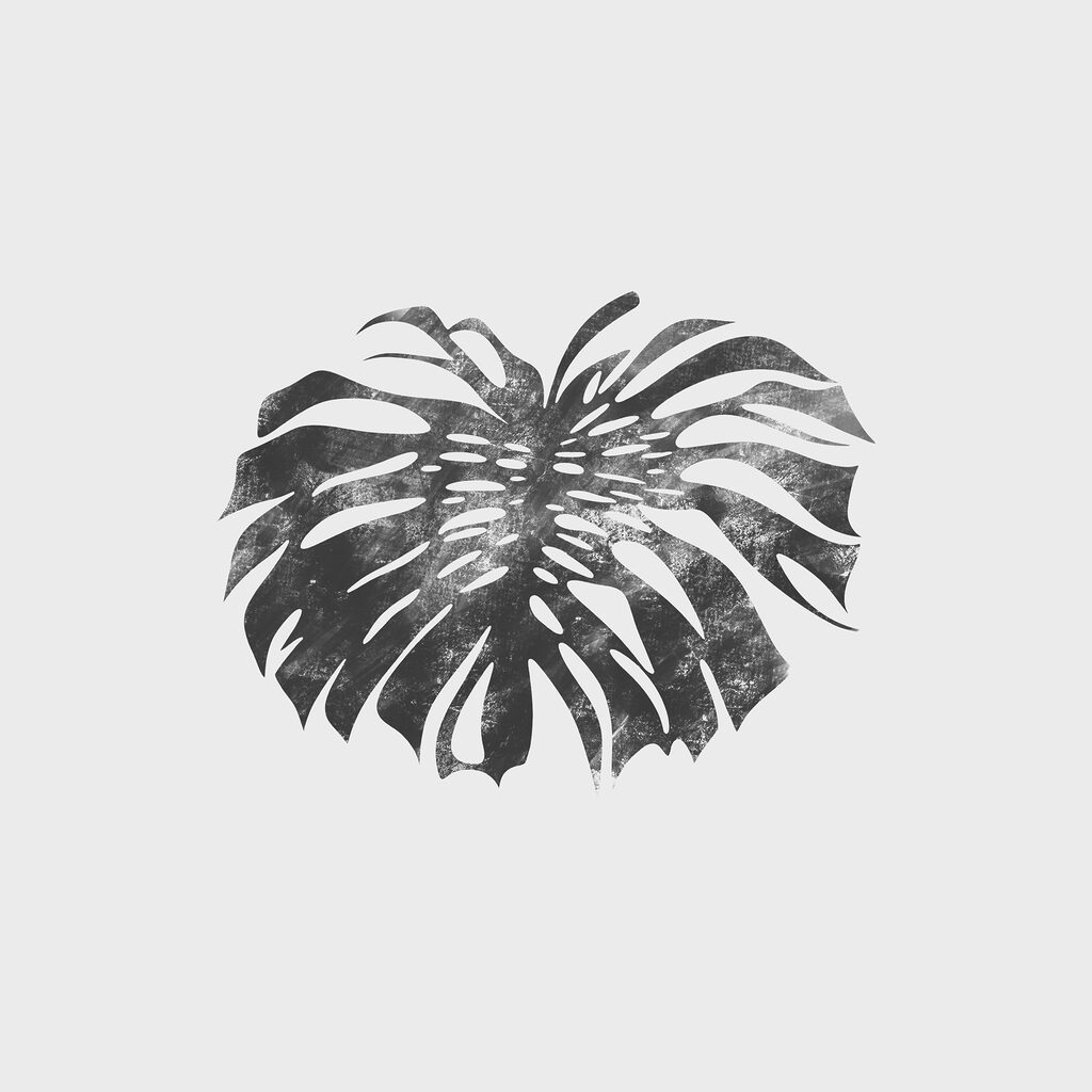 A black and white image of a leaf A black and white image of a leaf