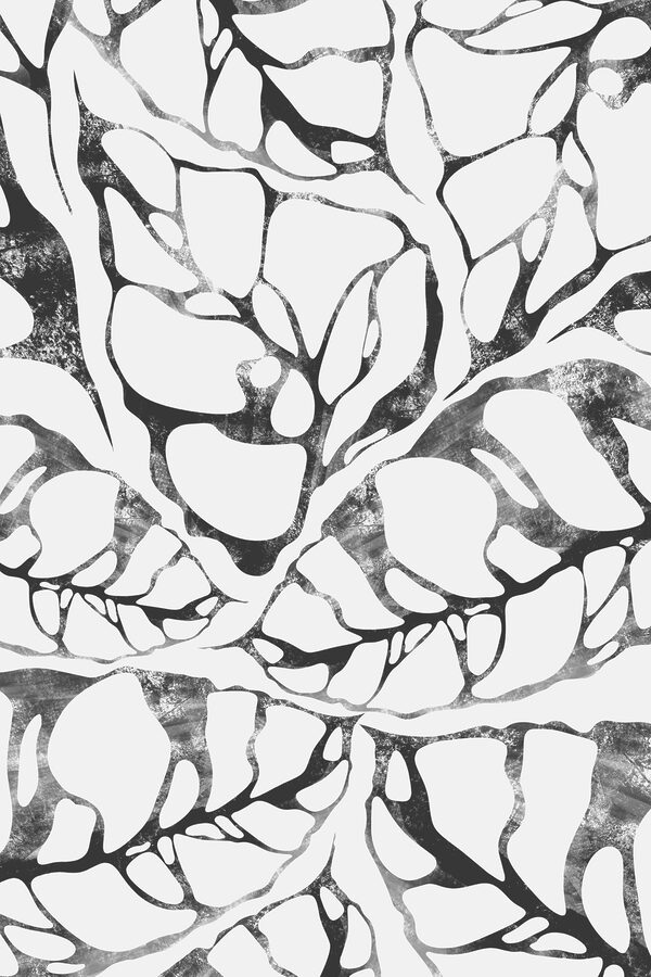 A black and white pattern