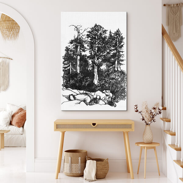 A drawing of trees and bushes