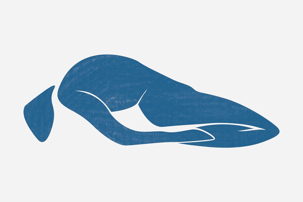 A blue drawing of a woman lying down