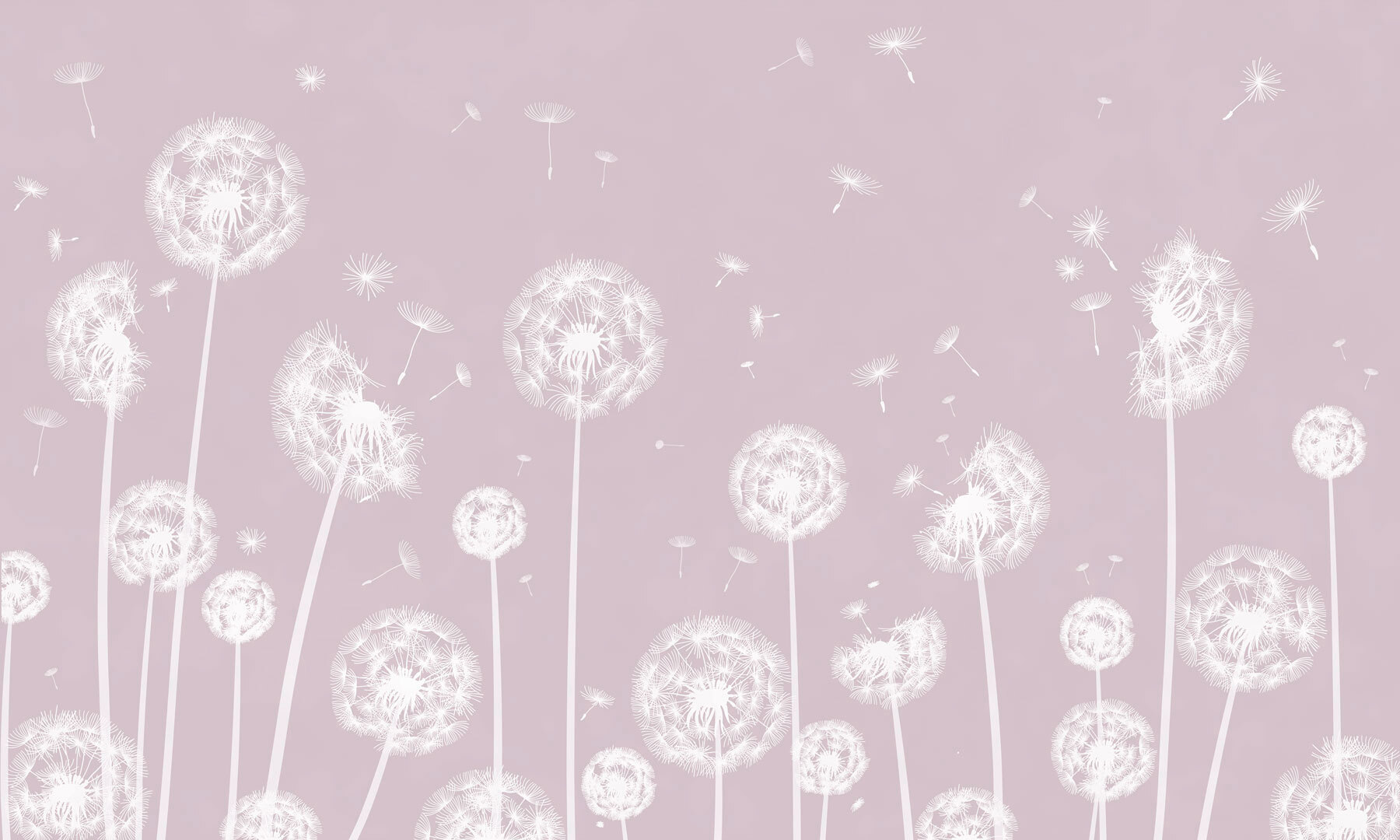 w00657v1p - Un diente de león blanco volando en el aire - tegory