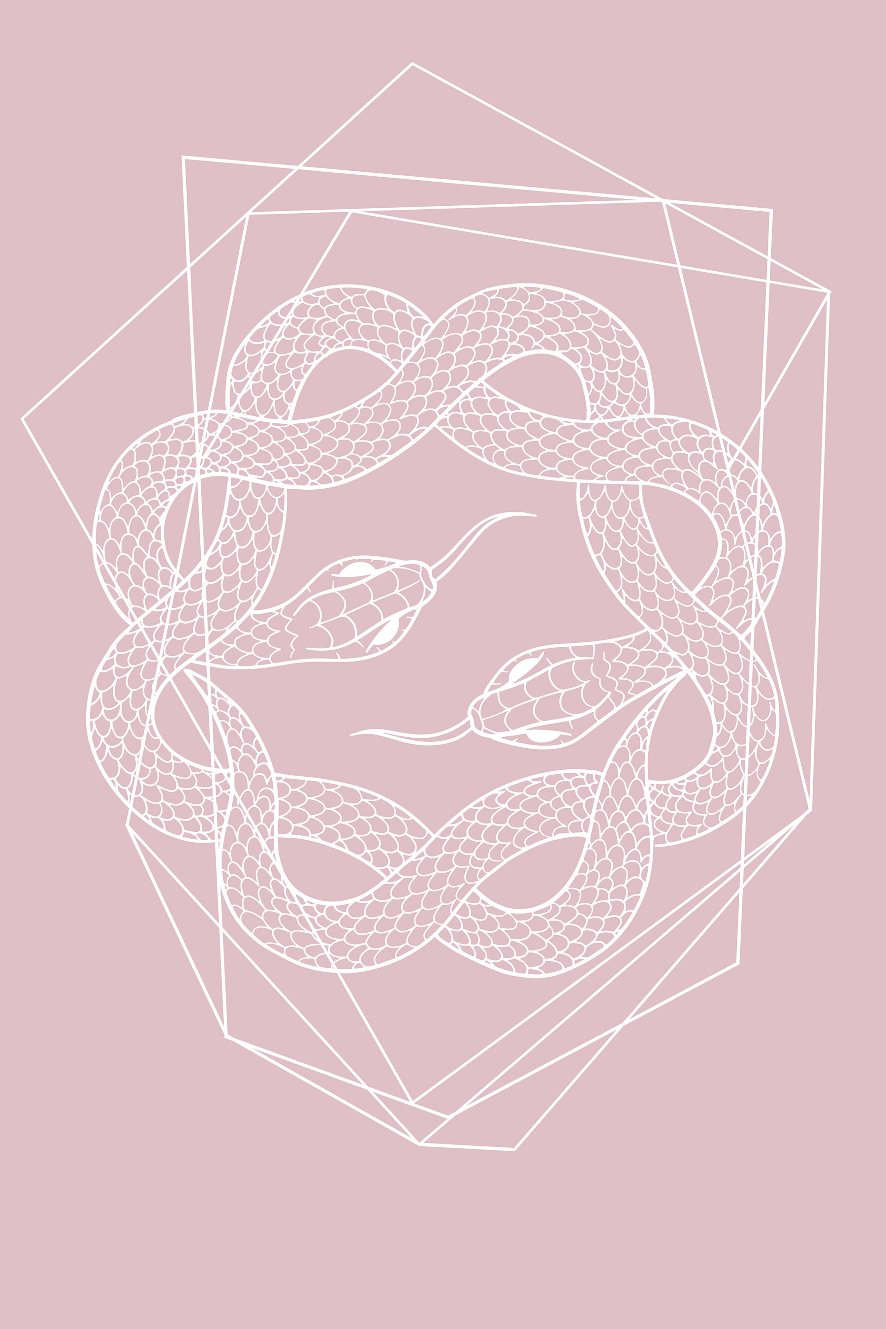 A white snake in a circle