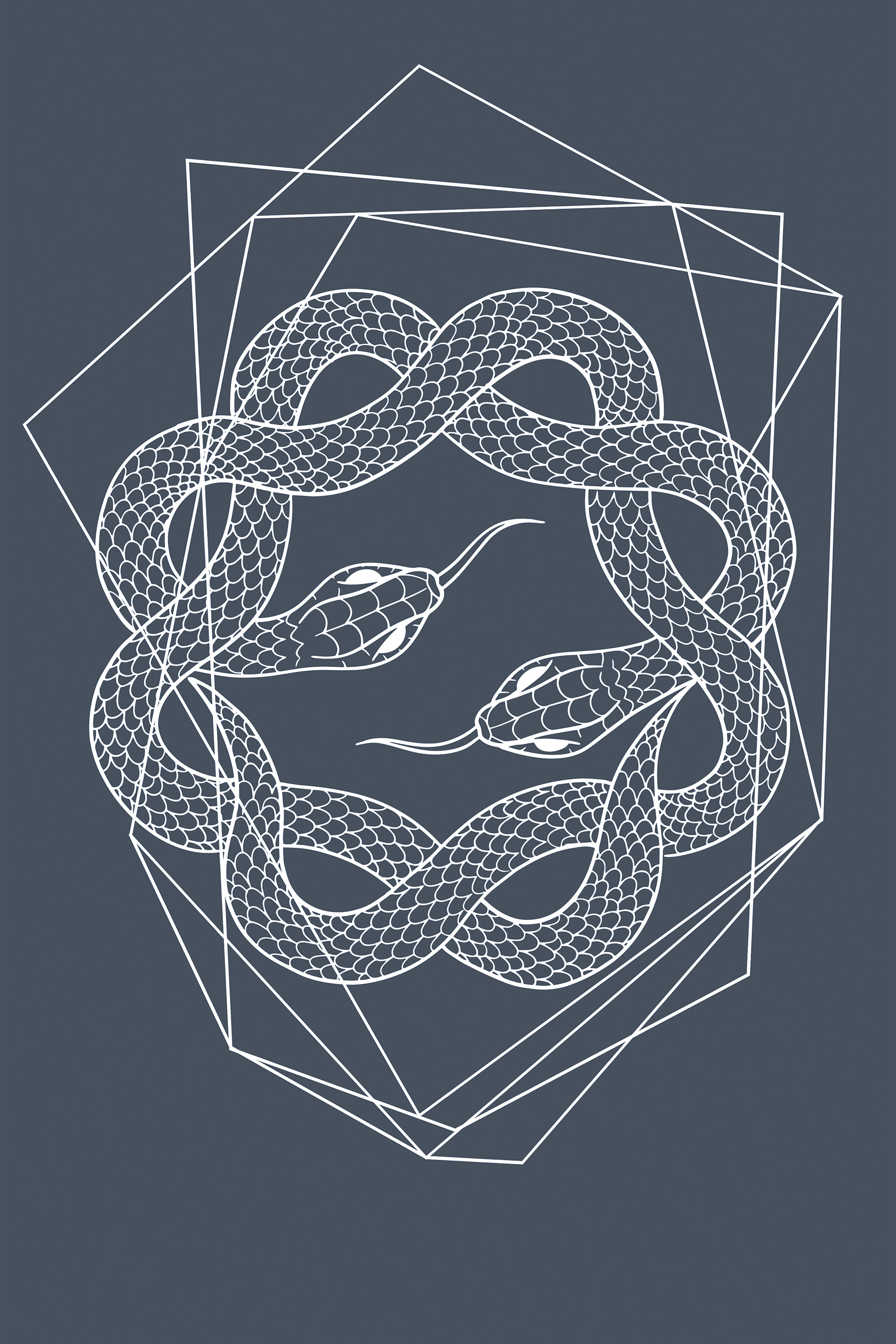 A white snake in a circle