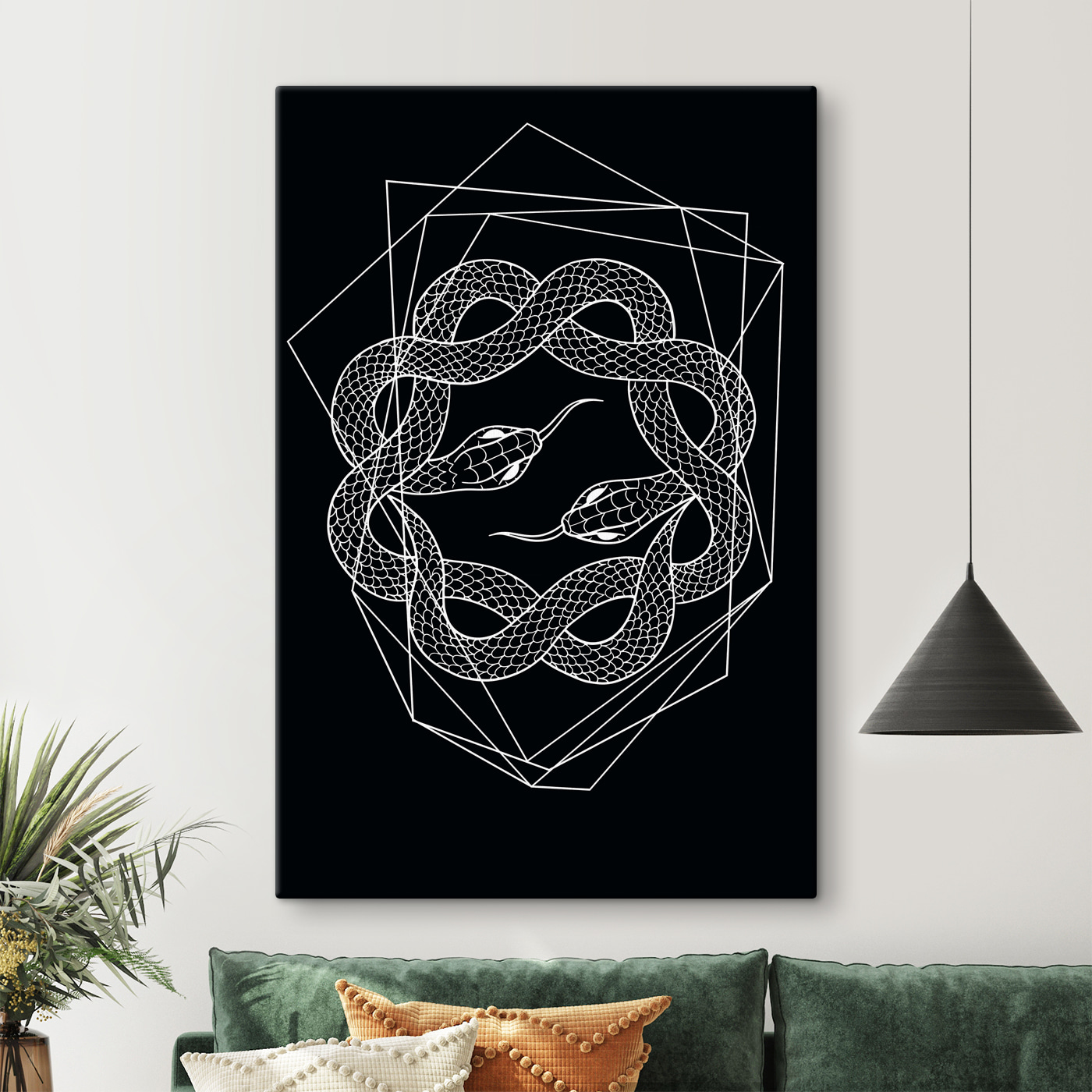 A white snake in a circle
