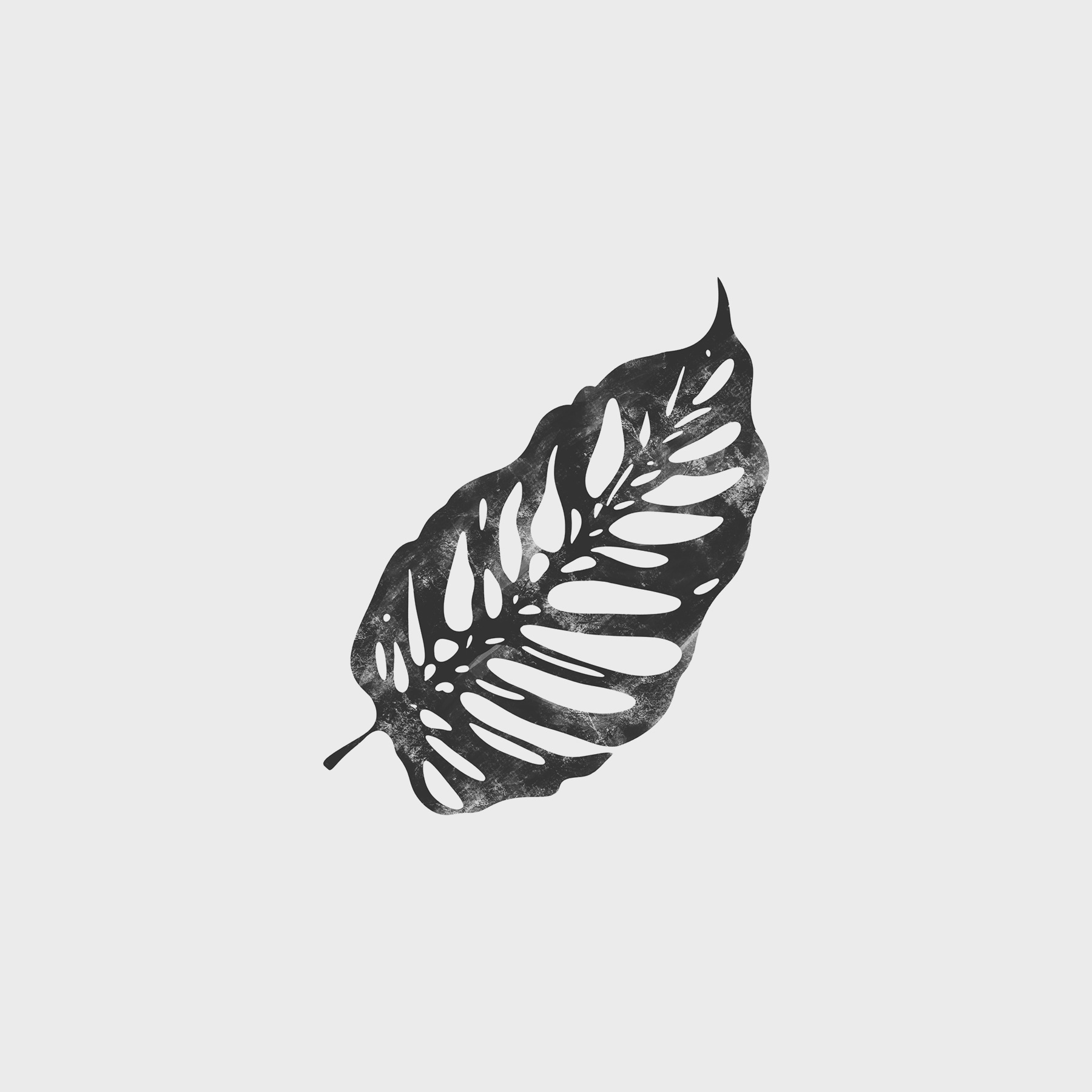 A black leaf on a white background A black leaf on a white background