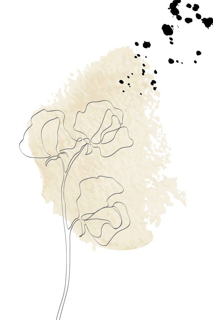 A drawing of a flower A drawing of a flower