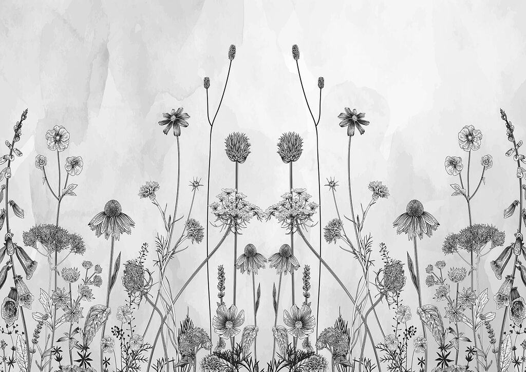 Un dibujo de flores y plantas Un dibujo de flores y plantas
