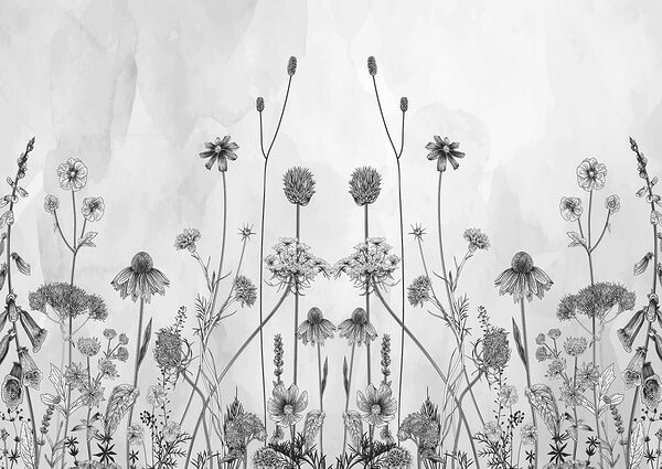 Un dibujo de flores y plantas Un dibujo de flores y plantas