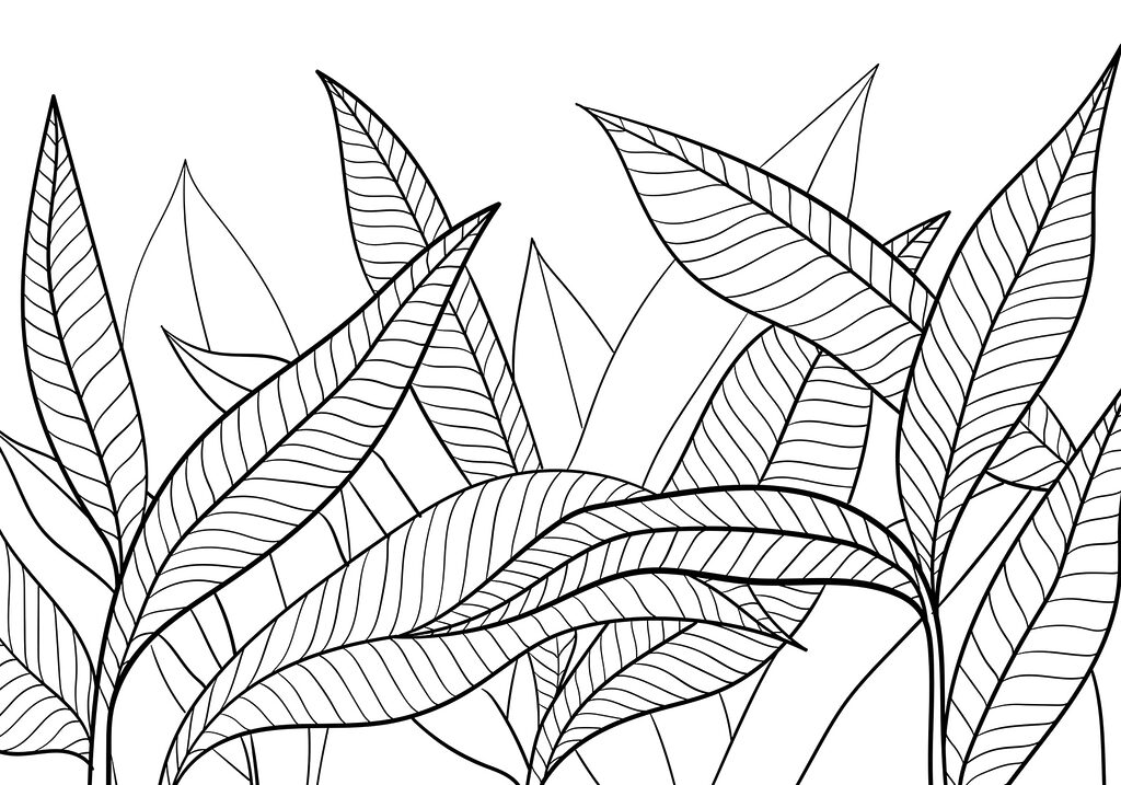 Un dibujo de hojas en blanco y negro Un dibujo de hojas en blanco y negro