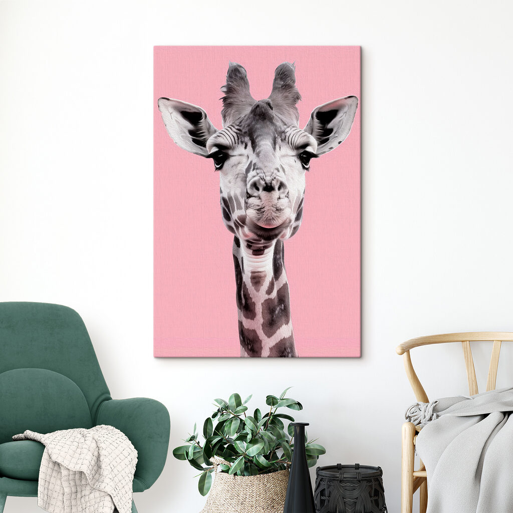 A giraffe with a pink background