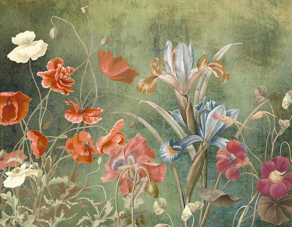 Un primer plano de flores Un primer plano de flores