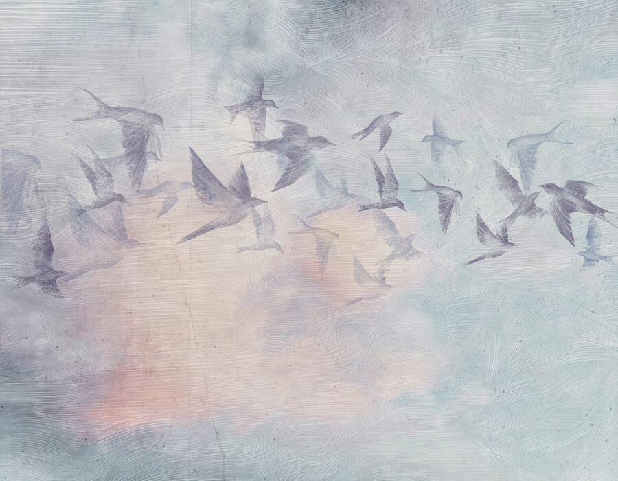 Una bandada de pájaros volando en el cielo