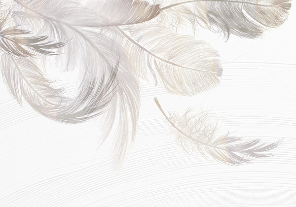 Un grupo de plumas blancas Un grupo de plumas blancas