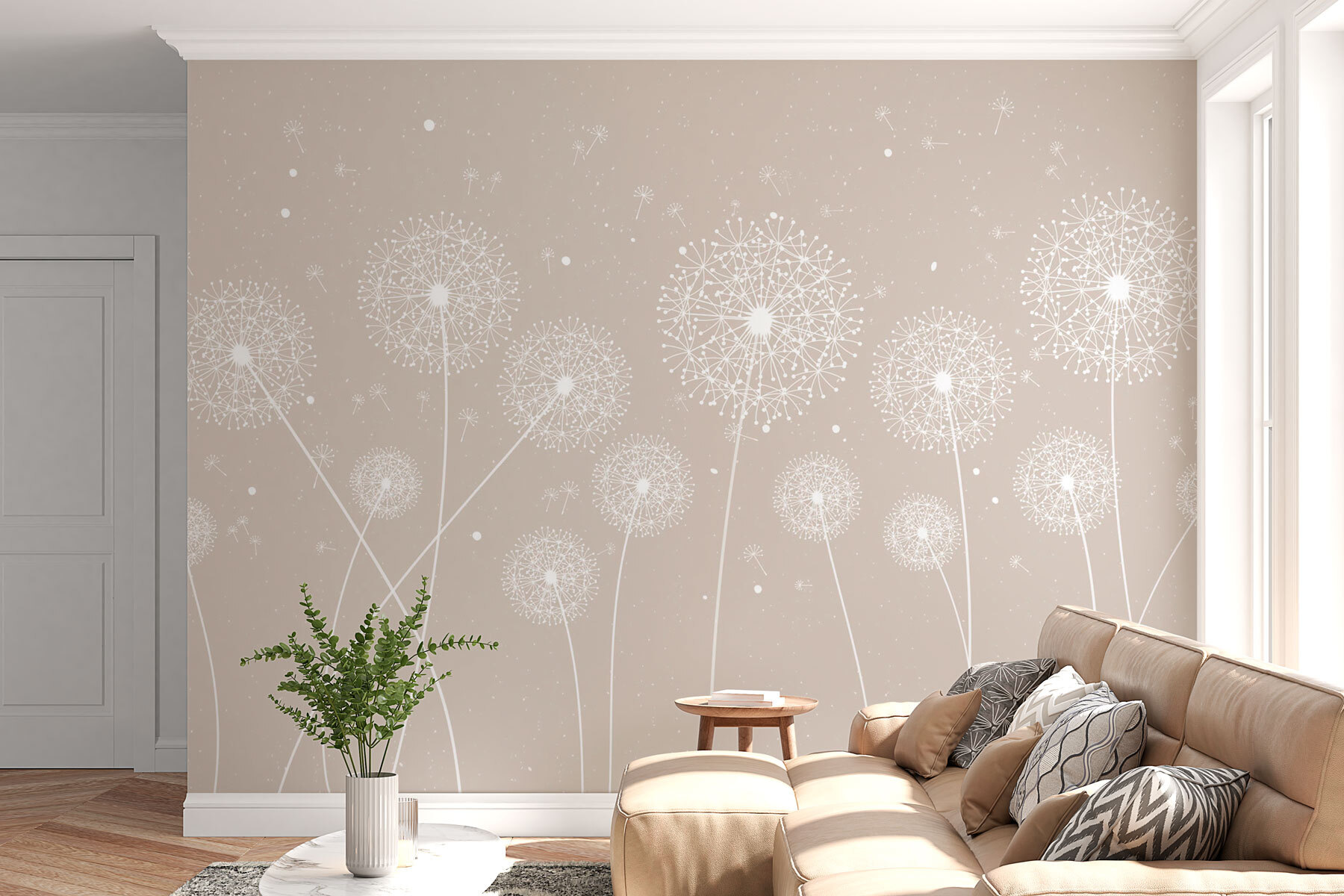 A white dandelions on a grey background