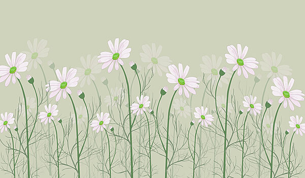 Un grupo de flores blancas Un grupo de flores blancas