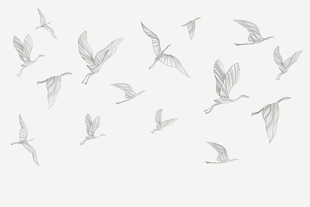 Un grupo de pájaros volando Un grupo de pájaros volando