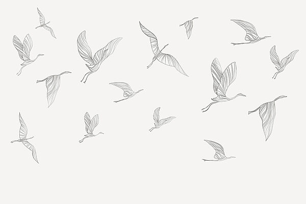 Un grupo de pájaros volando Un grupo de pájaros volando