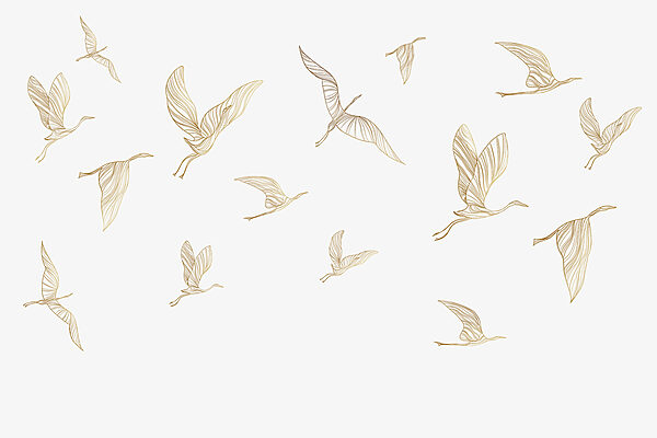 A group of birds flying