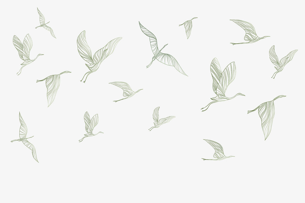 Un grupo de pájaros volando Un grupo de pájaros volando