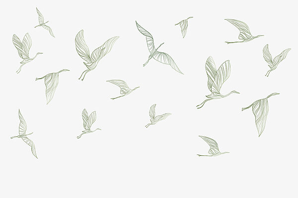 Un grupo de pájaros volando Un grupo de pájaros volando