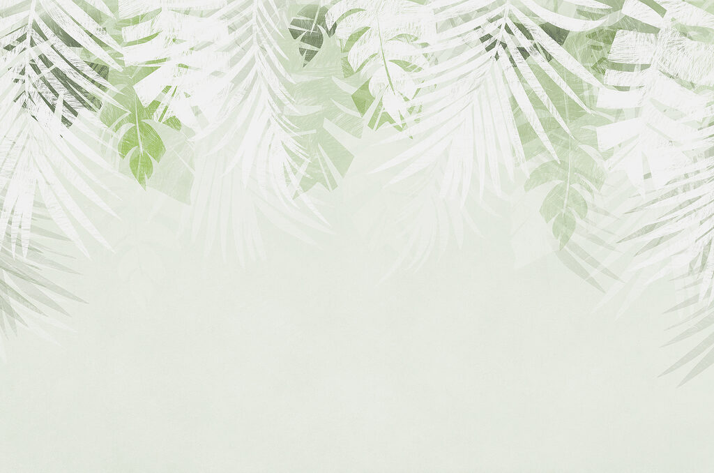 Un blanco y hojas verdes Un blanco y hojas verdes
