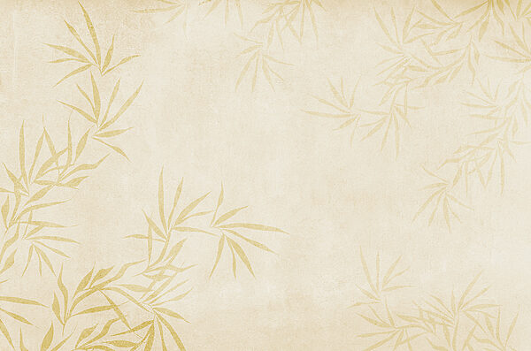 A white background with leaves A white background with leaves