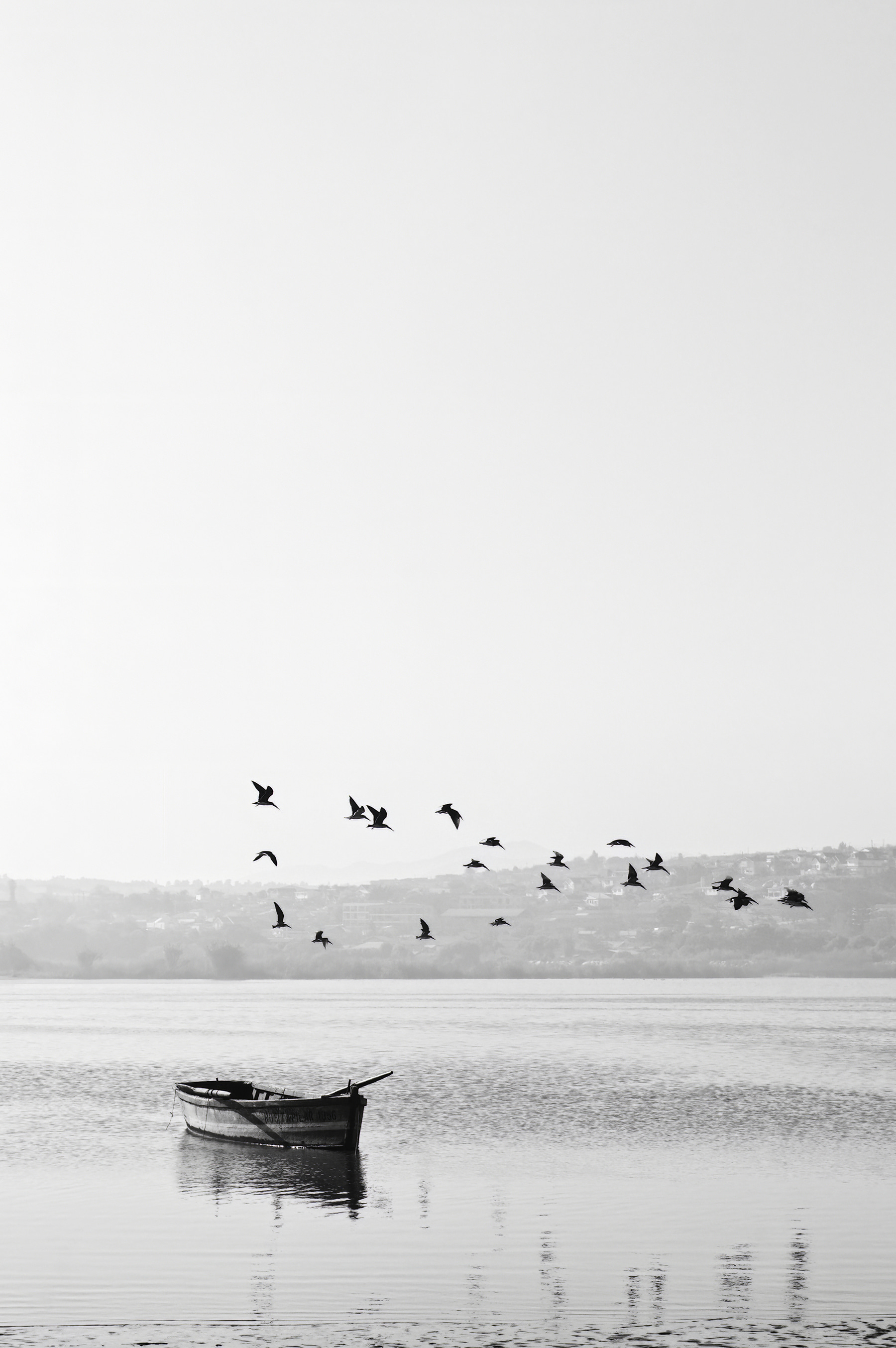 A group of birds flying over a body of water A group of birds flying over a body of water