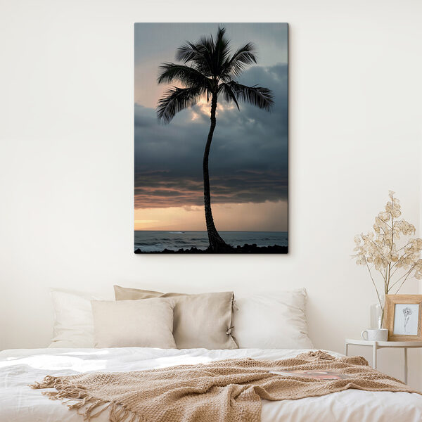 A palm tree in the sunset