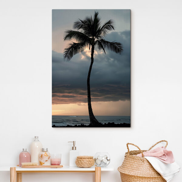 A palm tree in the sunset