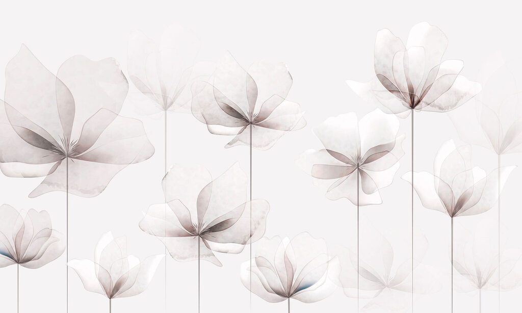 Un grupo de flores blancas Un grupo de flores blancas