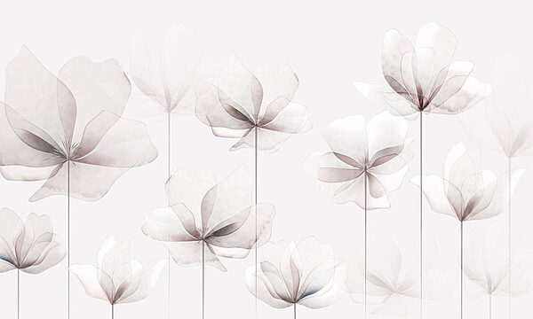 Un grupo de flores blancas Un grupo de flores blancas