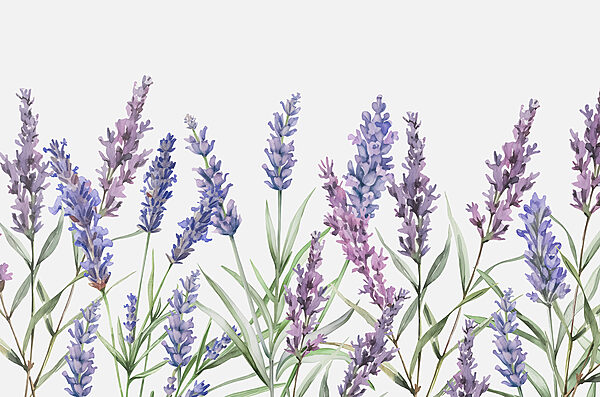 Una hilera de flores moradas Una hilera de flores moradas