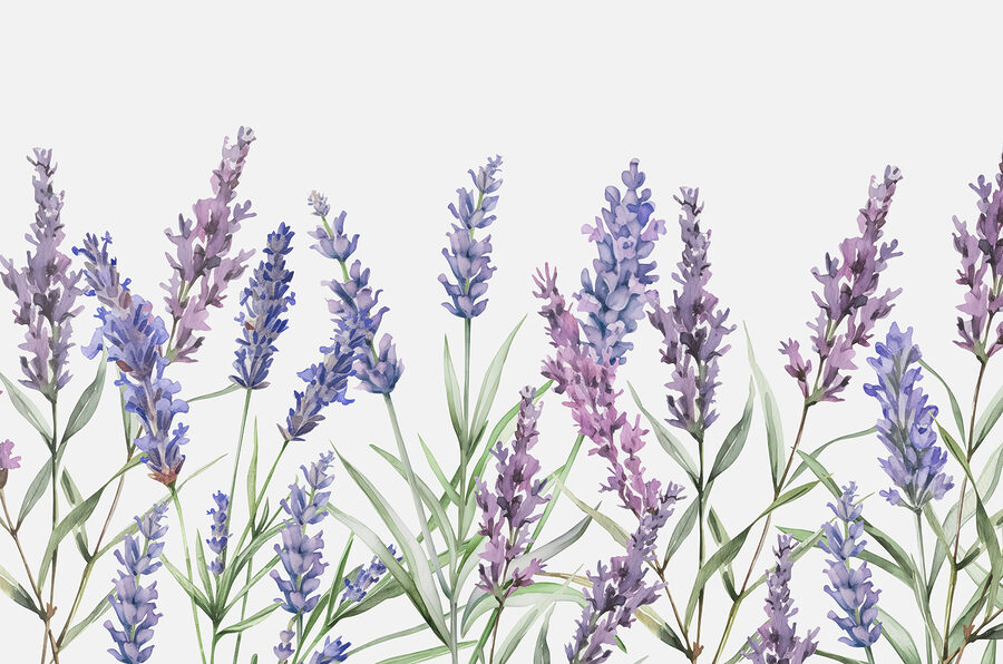 Una hilera de flores moradas