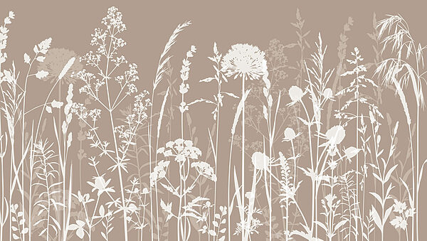 Un primer plano de flores Un primer plano de flores