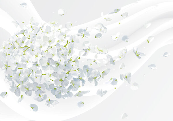 Unas flores blancas volando en el aire Unas flores blancas volando en el aire