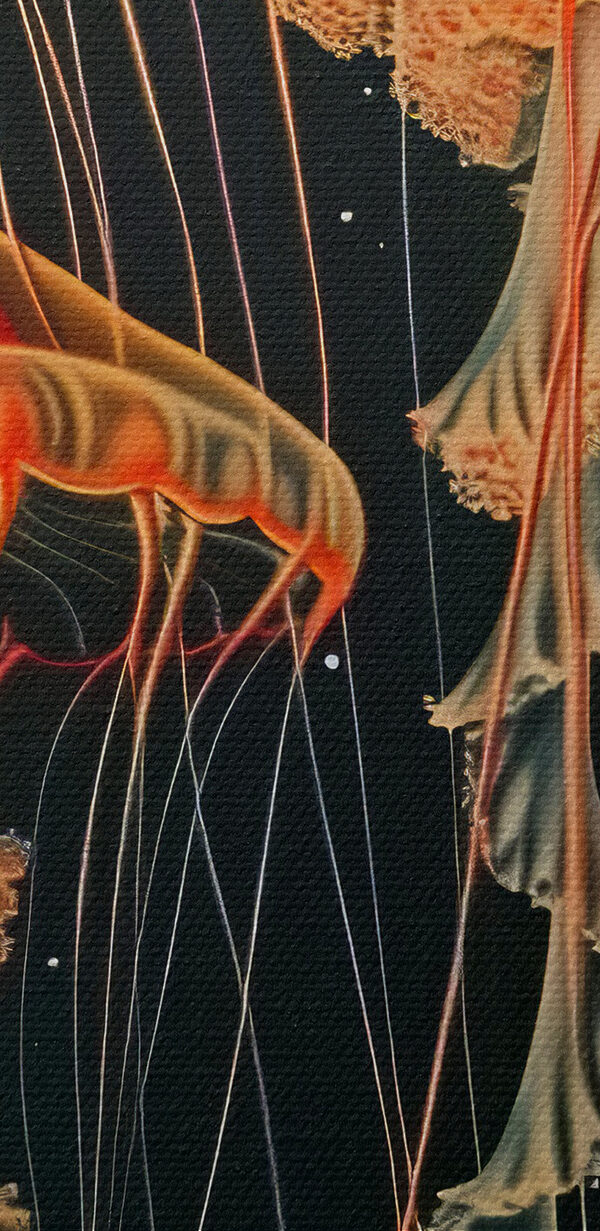 A group of jellyfish in the dark