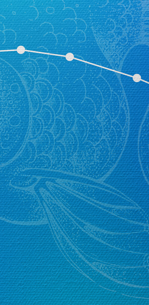 A screen shot of a zodiac sign A screen shot of a zodiac sign