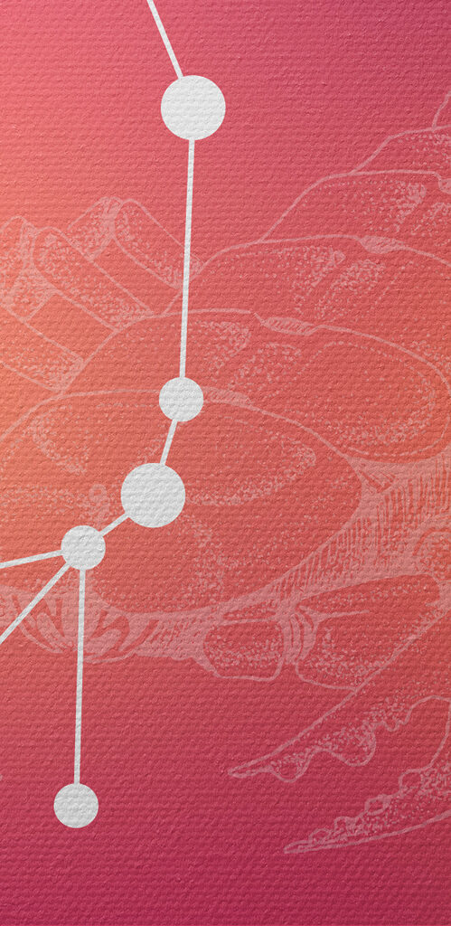 A zodiac sign with a scorpion and stars