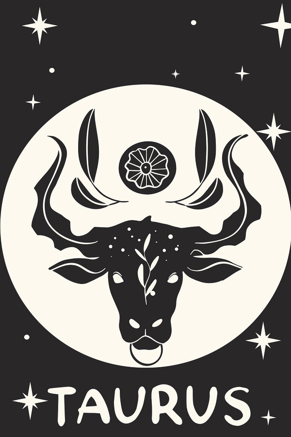 A black and white image of a bull's head