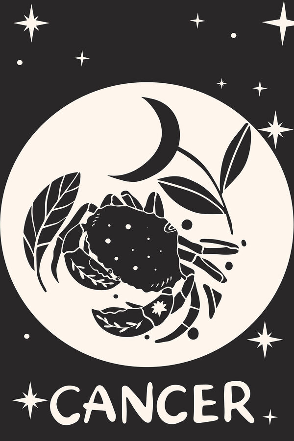 A black and white drawing of a crab and a plant A black and white drawing of a crab and a plant