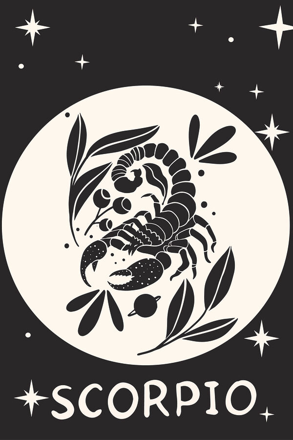 A black and white drawing of a scorpion