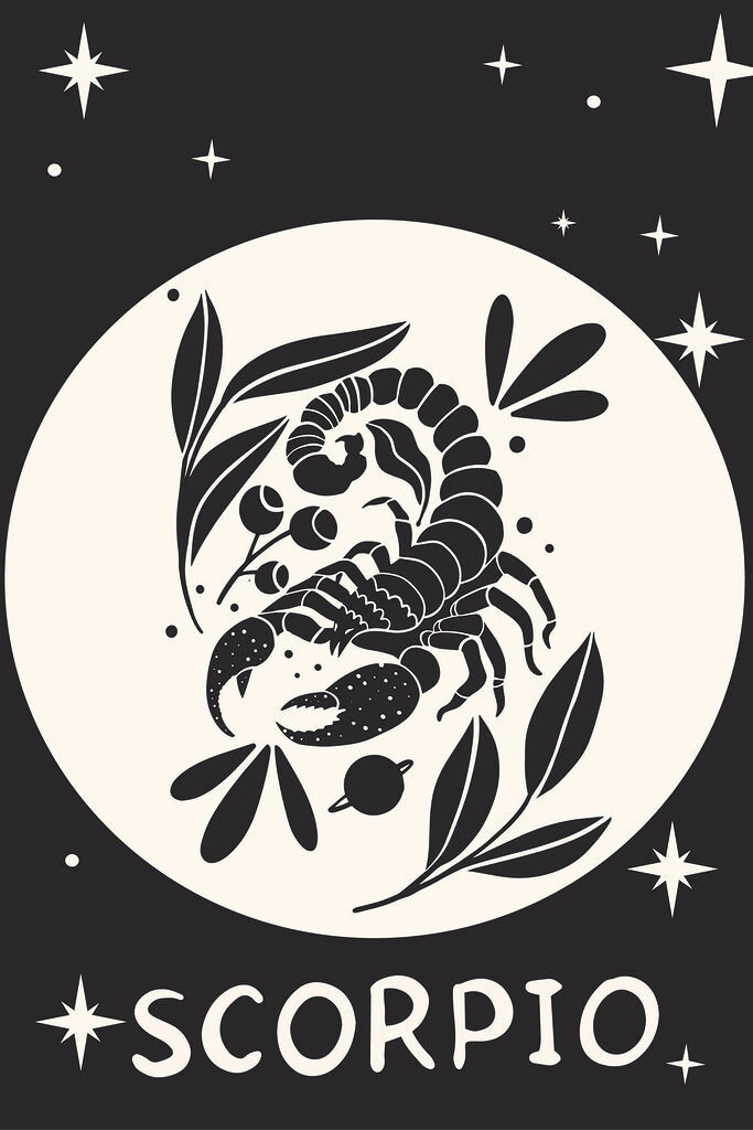 A black and white drawing of a scorpion